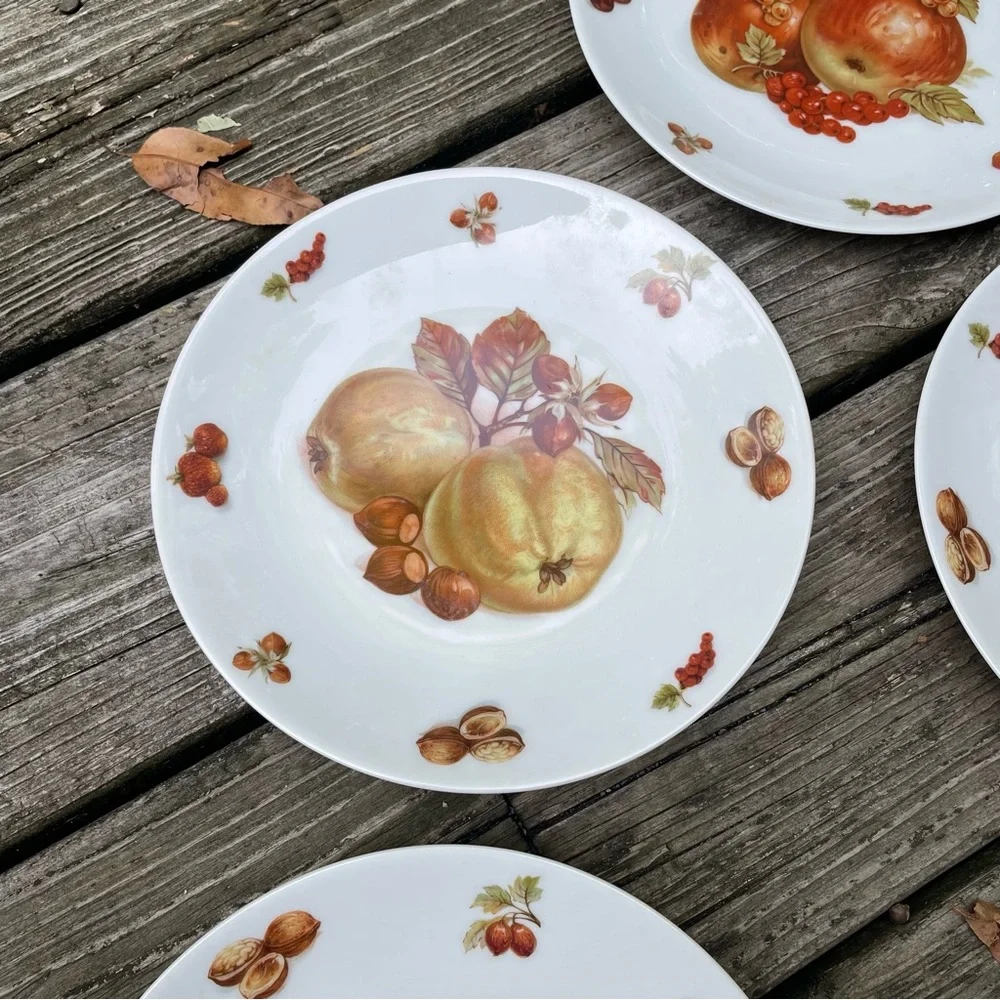 Five Vintage Bavaria Fruit Plates White Porcelain Debra Germany - Set of 5
